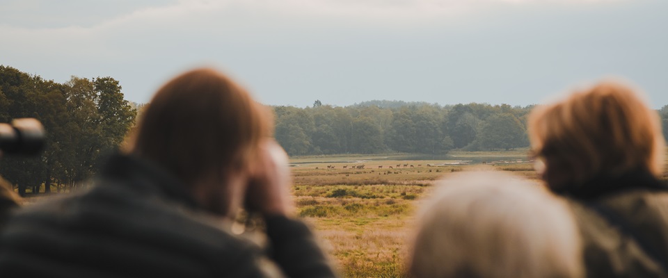 Mensen kijken met verrekijkers uit over een open veld waar in de verte een groep edelherten loopt.