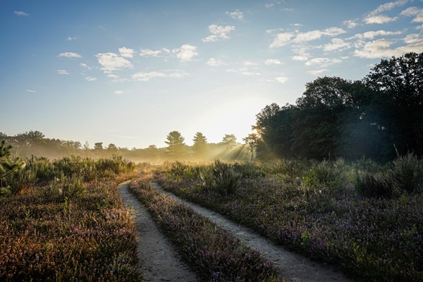 De zon komt op in natuurgebied Het Leudal, een van de Big Five