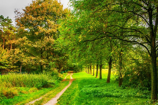 Deel van het Huurvaarderspad in Beesel