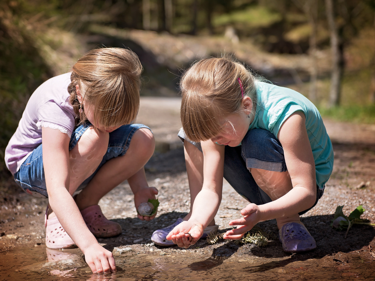 Vom Besucher zum Forscher