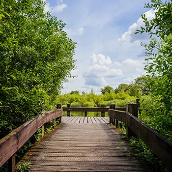 Vlonder die uitkijkt over een meer in de groote peel