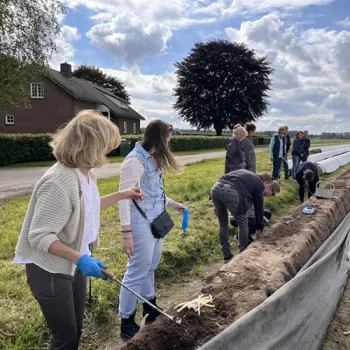 Bezoekers steken zelf asperges op tijdens een rondleiding over het veld bij Aspergeboerderij Oppe Haes, midden in het Limburgse landschap.