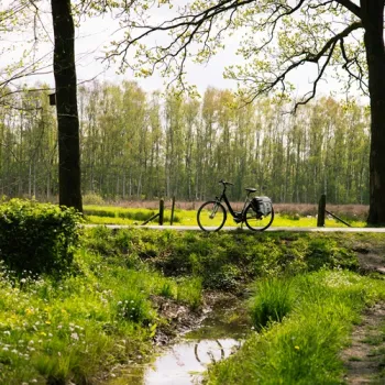 Een fiets die geparkeerd staat langs een landelijk pad, met op de voorgrond een smal beekje en daaromheen groen gras en bomen. Op de achtergrond zie je een rij bomen en een open landschap.