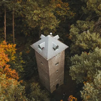Uilentoren op Landgoed De Bedelaar, omringd door bos in herfstkleuren, gezien van bovenaf.