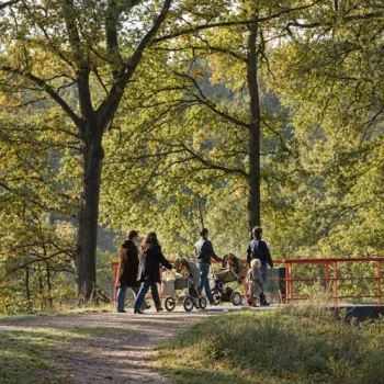 Wandelaars met kinderwagens en een kind lopen over een bospad bij een rood bruggetje in recreatiegebied De IJzeren Man in Weert.